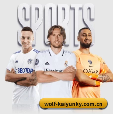 wolf-kaiyunky.com.cn APP